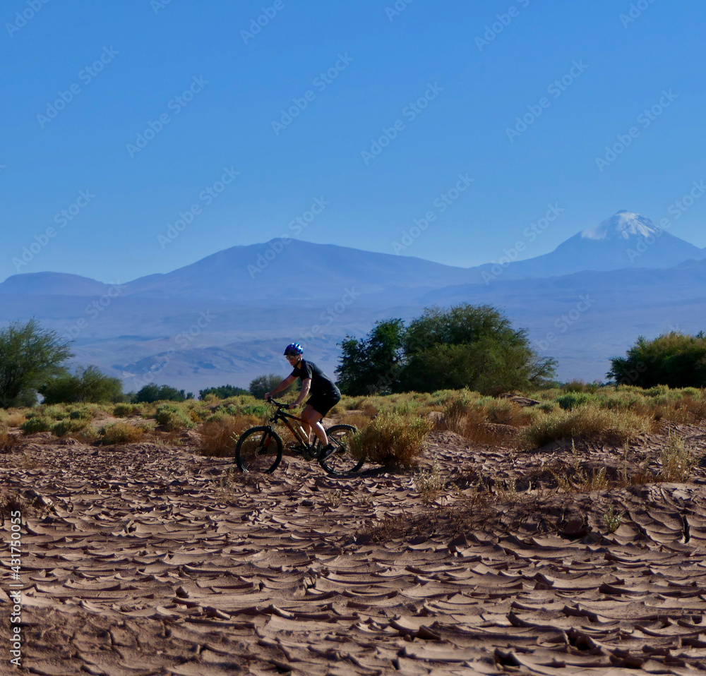Active biker riding in dry desert before mountains and trees, Atacama salt desert, Chile