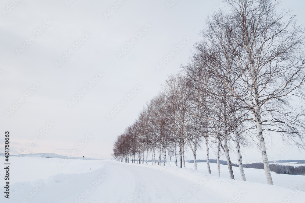 Winter in Biei, Hokkaido, Japan, snow covers the entire mountainous area of Mount Tokachi at sunset Winter in Biei, Hokkaido, Japan, snow covers the entire mountainous area of Mount Tokachi at sunset