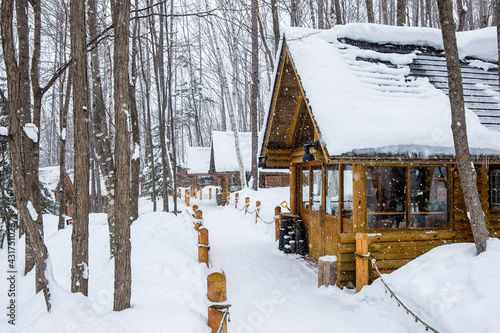Snow-covered forest cabins during the day in Furano, Hokkaido, Japan