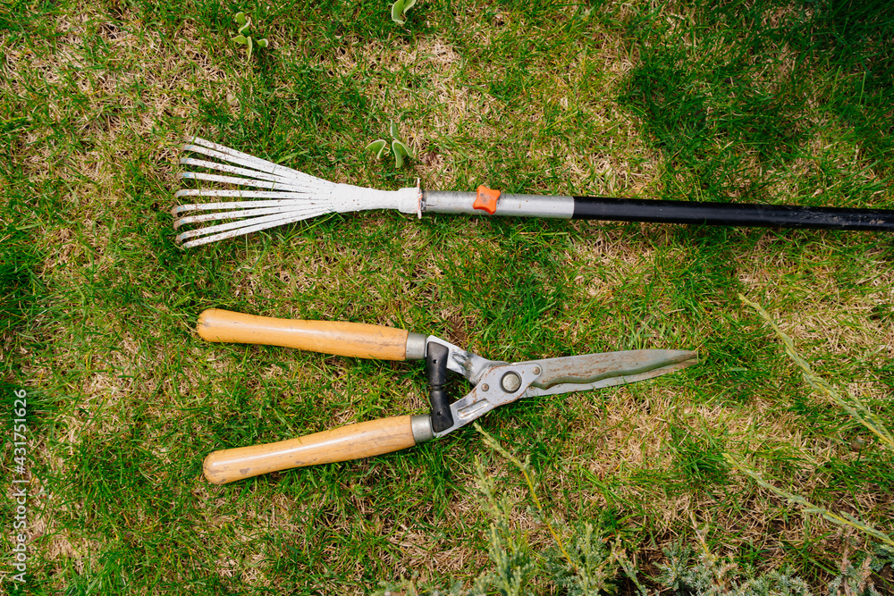 Obraz premium garden tools. rake and secateur on the green grass. caring for the garden.