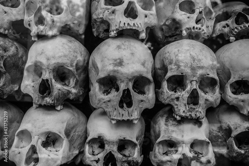 Pile of Human Skulls