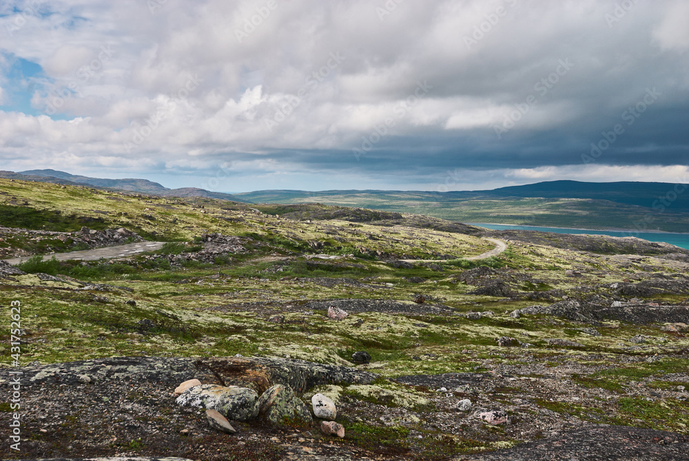 Northern polar summer in the tundra. Hill. Coast of the Arctic Ocean, Barents Sea beach, Russia