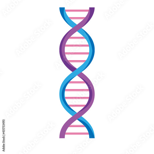 purple dna molecule