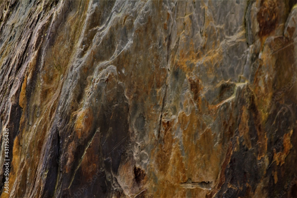 Fototapeta premium piece of rock with texture