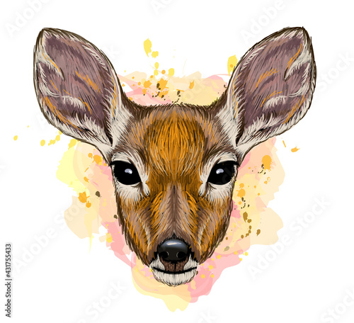 Deer. Color, graphic, hand-drawn portrait of a cute deer looking ahead on a white background with blots. Wall stickers	
