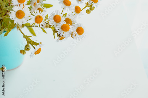 A bouquet of daisies in a blue vase on a white background. top view
