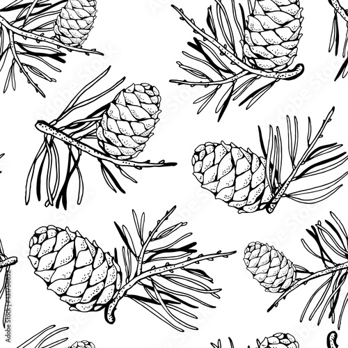 Pine cedar cone with a sprig, vector seamless background