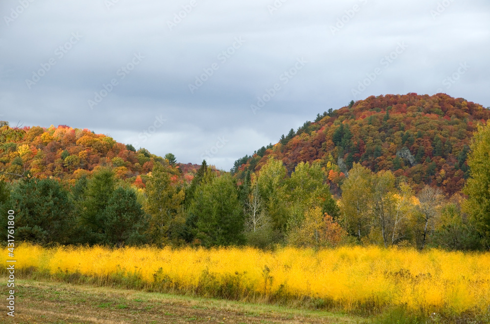 Colorful Fall Season Rural Scene with Mountains in Quebec Canada