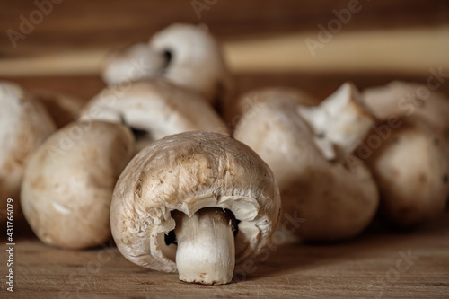 Mehrere Champignons (Zuchtchampignon / Kulturchampignon) als natürliche Zutat in der Küche