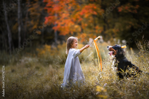 Canvas Print Cute Caucasian girl child and a Bernese Mountain Dog breed in a crown in a park