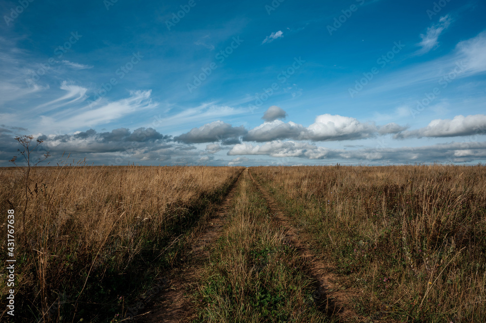 Obraz premium Road to horizon in field with blue sky and clouds on background