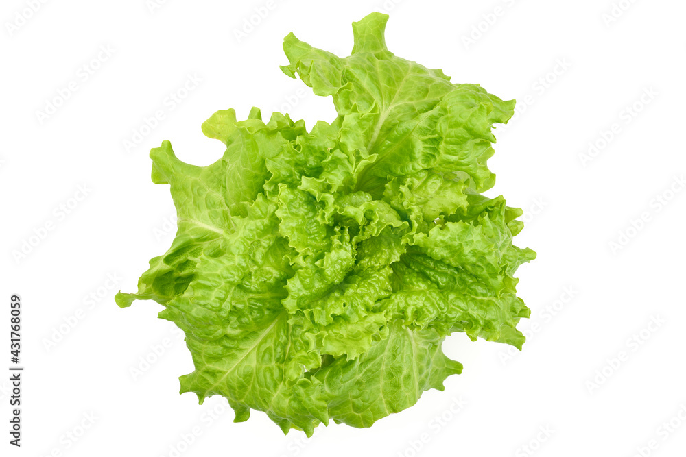 Lettuce Salad leaf, isolated on white background. High resolution image. Lettuce Salad leaf, isolated on white background. High resolution image.