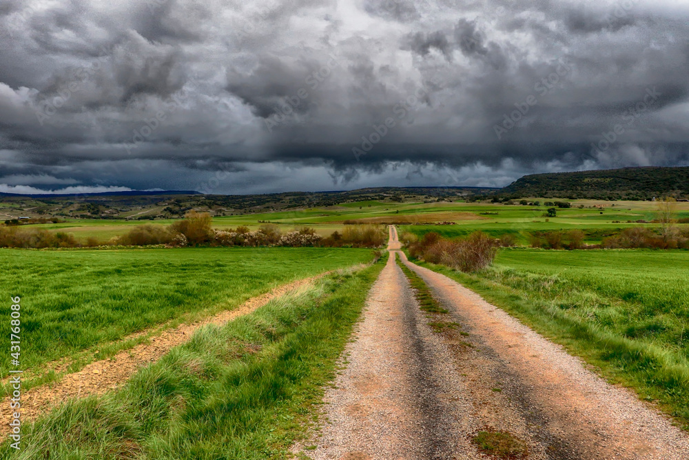 Obraz premium landscape with road and clouds