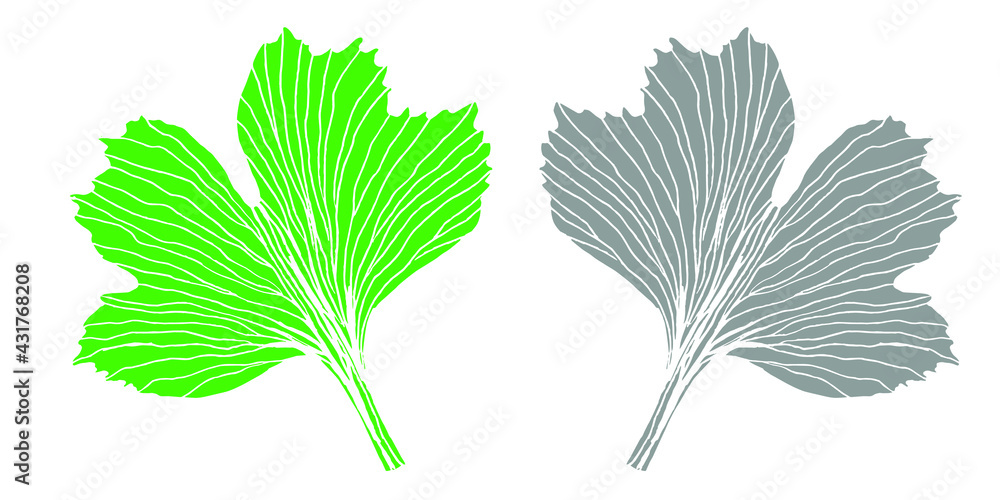 Obraz premium Botanical print pattern ginkgo leaf green and gray