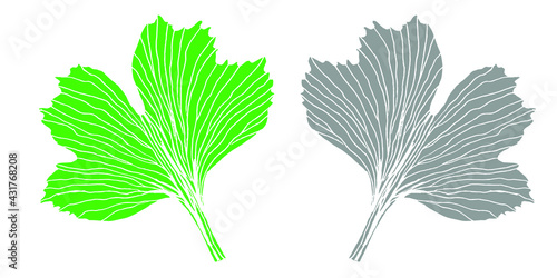 Botanical print pattern ginkgo leaf green and gray