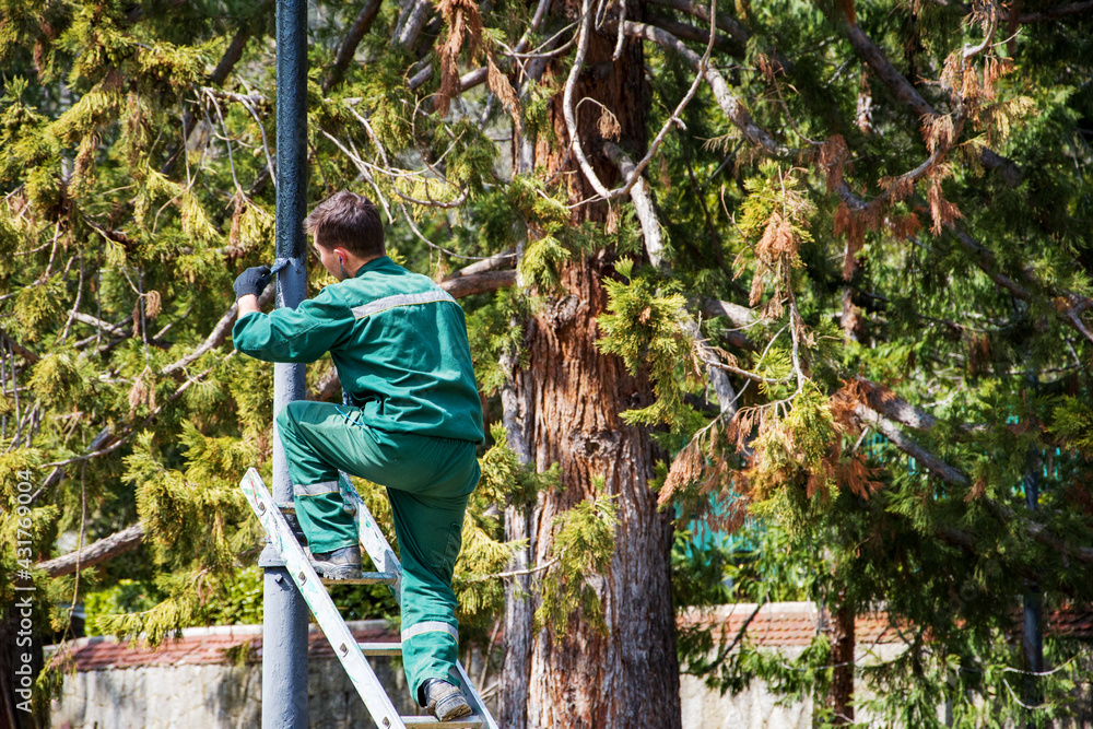 A man in a green work uniform paints a post in the park with a brush. A park worker climbed a ladder and paints a pillar. The park service is tidying up the square, preparing for the tourist season A man in a green work uniform paints a post in the park with a brush. A park worker climbed a ladder and paints a pillar. The park service is tidying up the square, preparing for the tourist season