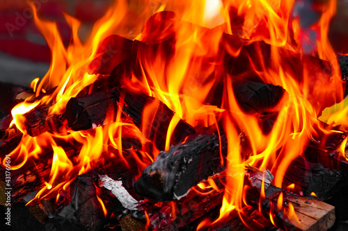 A Fire with coals and fire on nature picnic background. Burns out a bonfire for food on the street