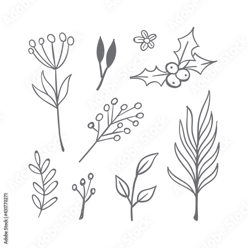 Flowers and leaves doodle collection. Hand drawn floral ornaments. Decorative plants illustrations. © Matias