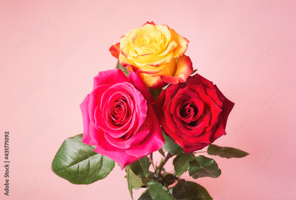 Colorful roses bunch. Selective focus. Colorful roses bunch. Selective focus.