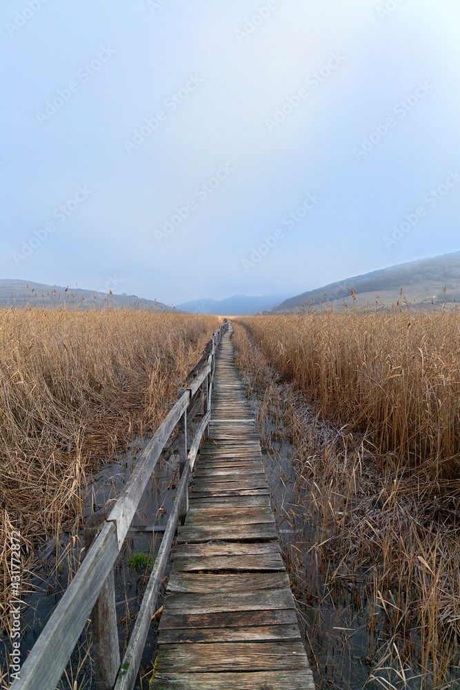 wooden bridge into the marshland