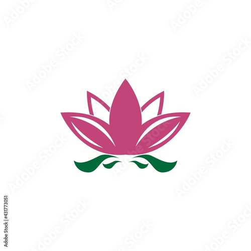 Beauty Lotus flowers logo icon design template