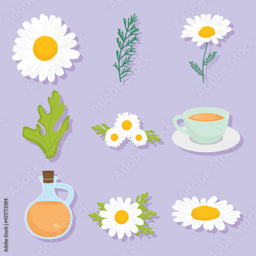 chamomile tea collection