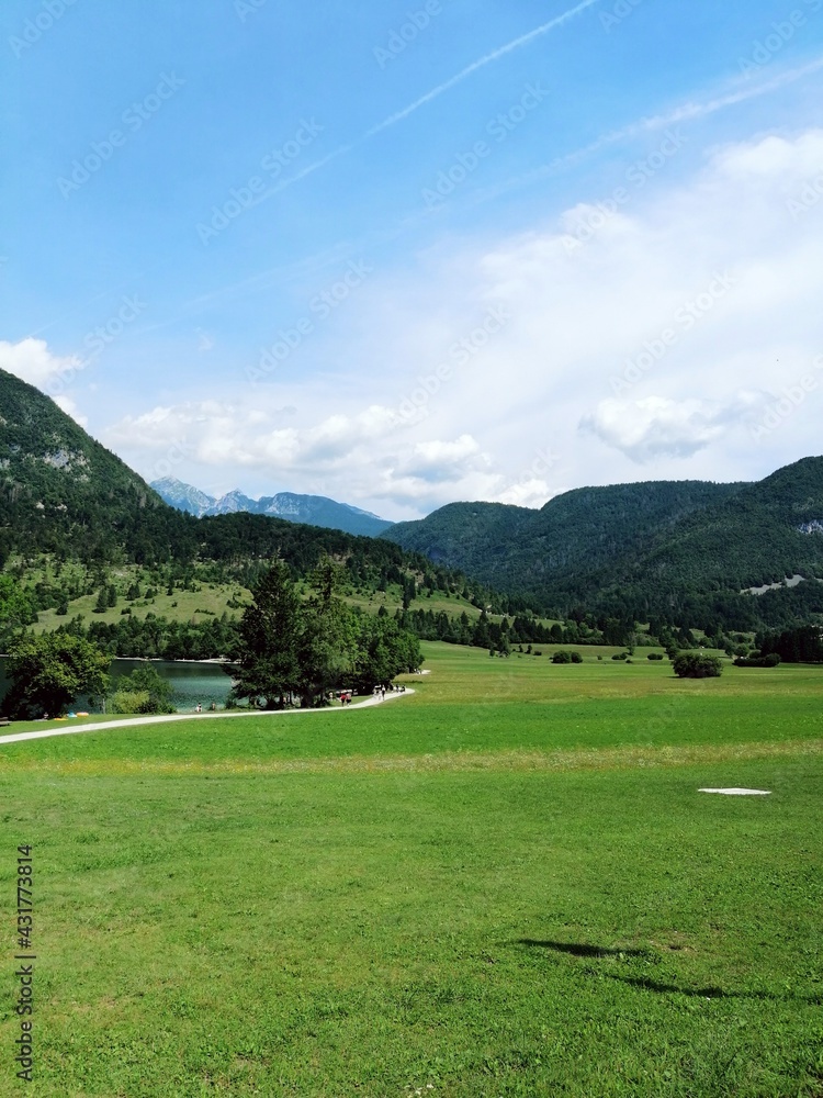 Slovenia, Bohinj, green meadow with Julian Alps Slovenia, Bohinj, green meadow with Julian Alps