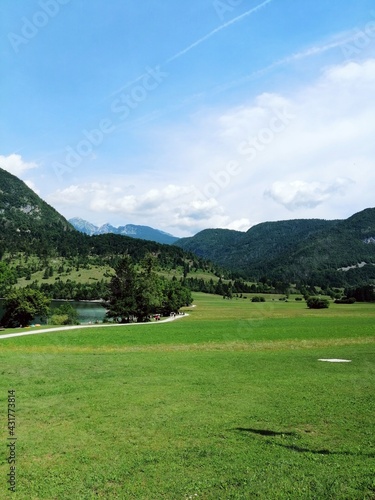 Slovenia, Bohinj, green meadow with Julian Alps