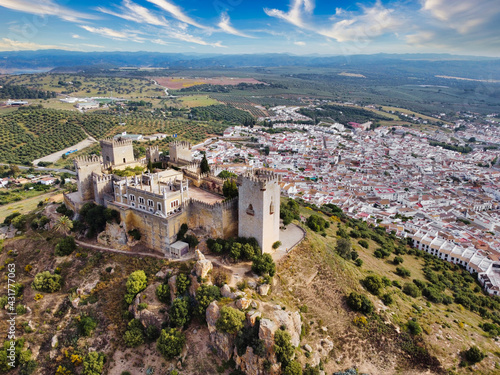 The castle of Almodóvar del Río, also called Castillo de la Floresta, located on the mountain called 