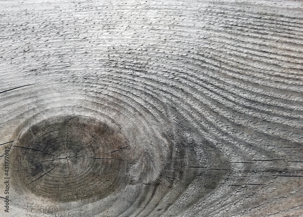 Fototapeta premium Photo of old wood, gray texture of natural wood, background of aged wood