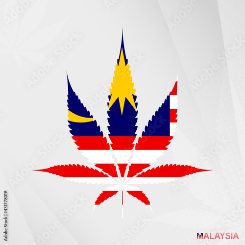 Flag of Malaysia in Marijuana leaf shape. The concept of legalization Cannabis in Malaysia.