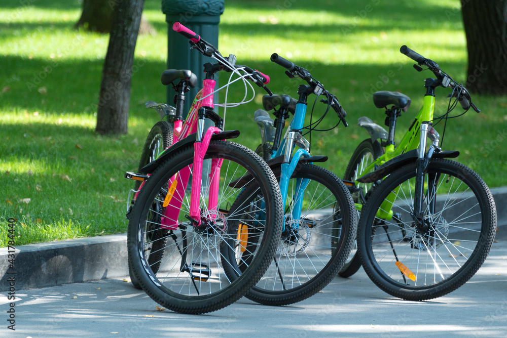 Fototapeta premium Three bicycles on park background. Bicycles for rent. Children's bicycles in bright colors.