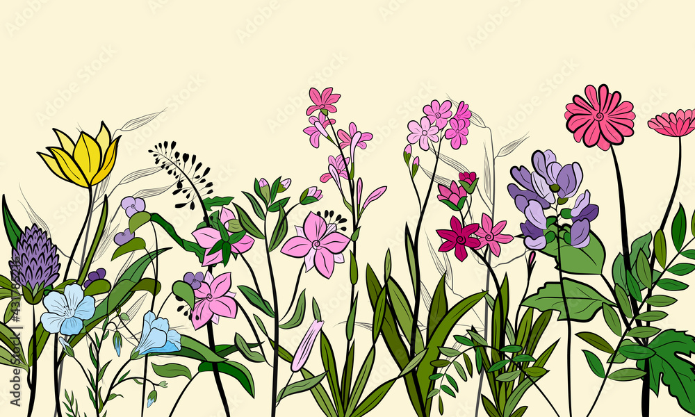 Obraz premium Hand drawn set of wildflowers and herbs. Sketch of summer flowers, herbs and leaves. Collection of meadow plants. Botanical illustration. Decorative elements for summer and spring desing.