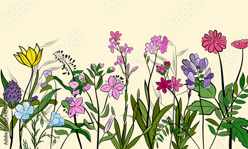 Hand drawn set of wildflowers and herbs. Sketch of summer flowers, herbs and leaves. Collection of meadow plants. Botanical illustration. Decorative elements for summer and spring desing.