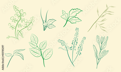 Hand drawn set of wildflowers and herbs. Sketch of summer flowers, herbs and leaves. Collection of meadow plants. Botanical illustration. Decorative elements for summer and spring desing.