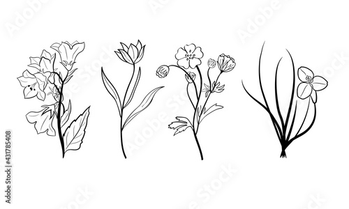 Hand drawn set of wildflowers. Sketch of summer flowers and leaves. Collection of meadow plants. Botanical illustration. Decorative elements for summer and spring desing.
