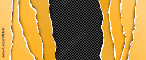 Vector illustration. Torn paper effect. Vibrant golden color. Decorative minimalist concept. Striped panoramic wallpaper. Design for web template, website banner. Cut paper on transparent background