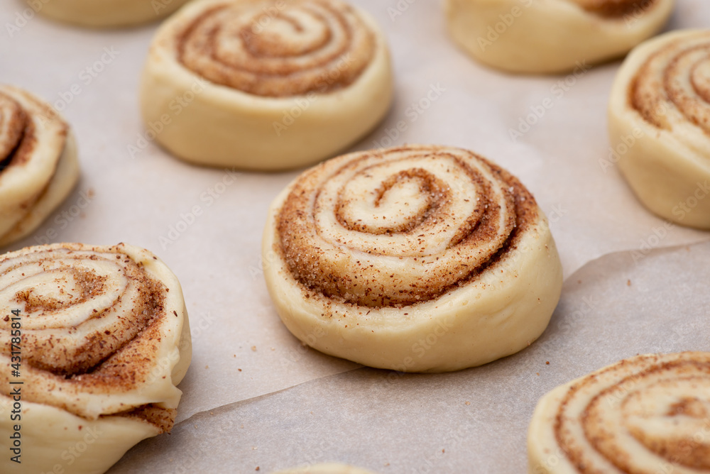 Spiral raw cinnamon buns on cooking paper, ready for baking. Sweet aromatic homemade pastry.