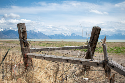 barbed wire fence