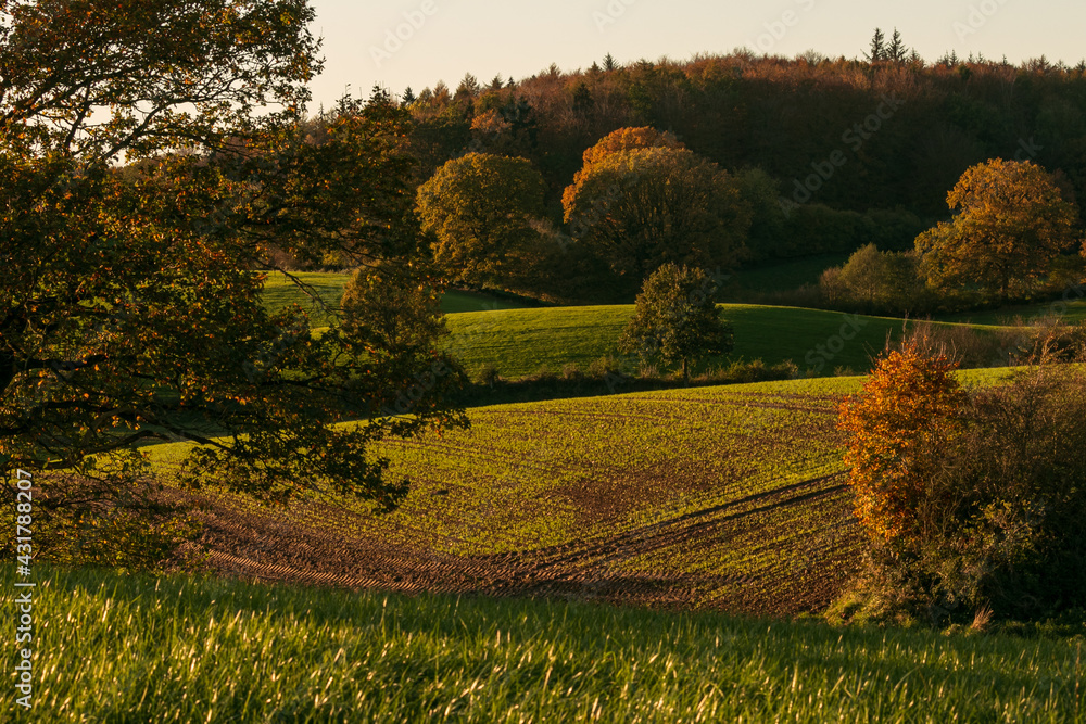 Landwirtschaft, Feld, Hügel, Knick, Herbst Landschaft