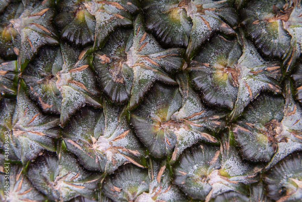 Macro detail of pineapple fruit Macro detail of pineapple fruit