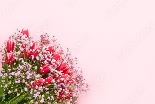 Pink tulips and gypsophila flowers bouquet on a pink background, selective focus. Mothers Day, birthday celebration concept