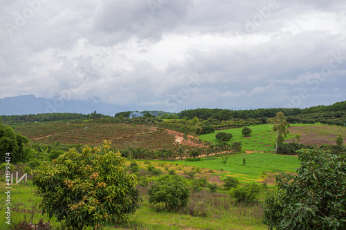 Chiang Mai Mountain View