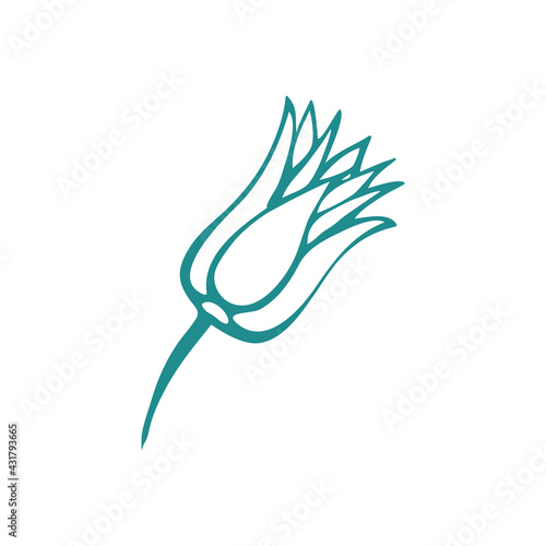 Graceful green flower. Contour leaves. Vector isolated element. Garden plant.