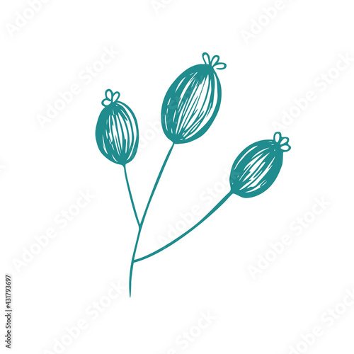 Graceful green twig. Contour leaves. Vector isolated element. Garden plant.