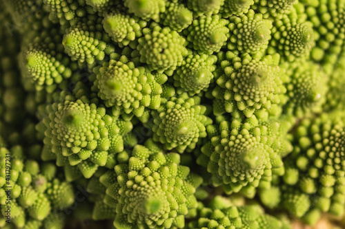 Detail of vegetable romanescu broccoli texture pattern. Healthy food concept.
