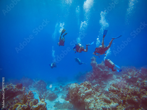 Group of divers swimming over a reef. Chinchorro diving.  