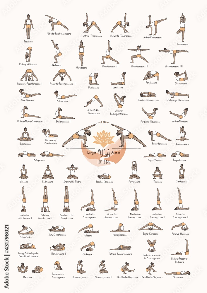 Hand drawn poster of hatha yoga poses and their names, Iyengar yoga asanas  difficulty levels 1-5 Stock Vector