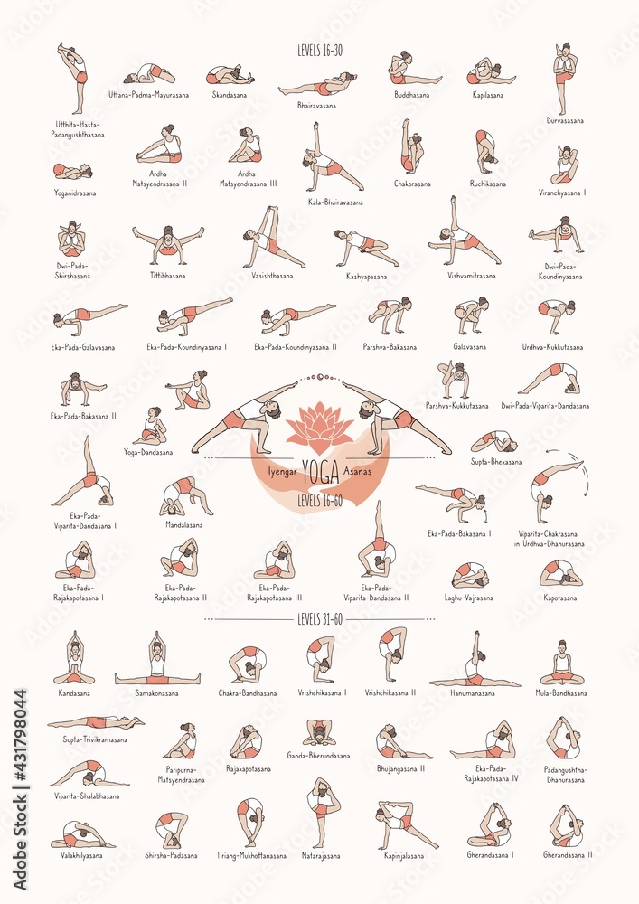 Yoga Cards - All Poses Poster | JUNIQE