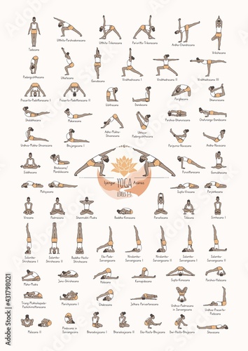 Hand drawn poster of hatha yoga poses and their names, Iyengar yoga asanas difficulty levels 1-5 photo